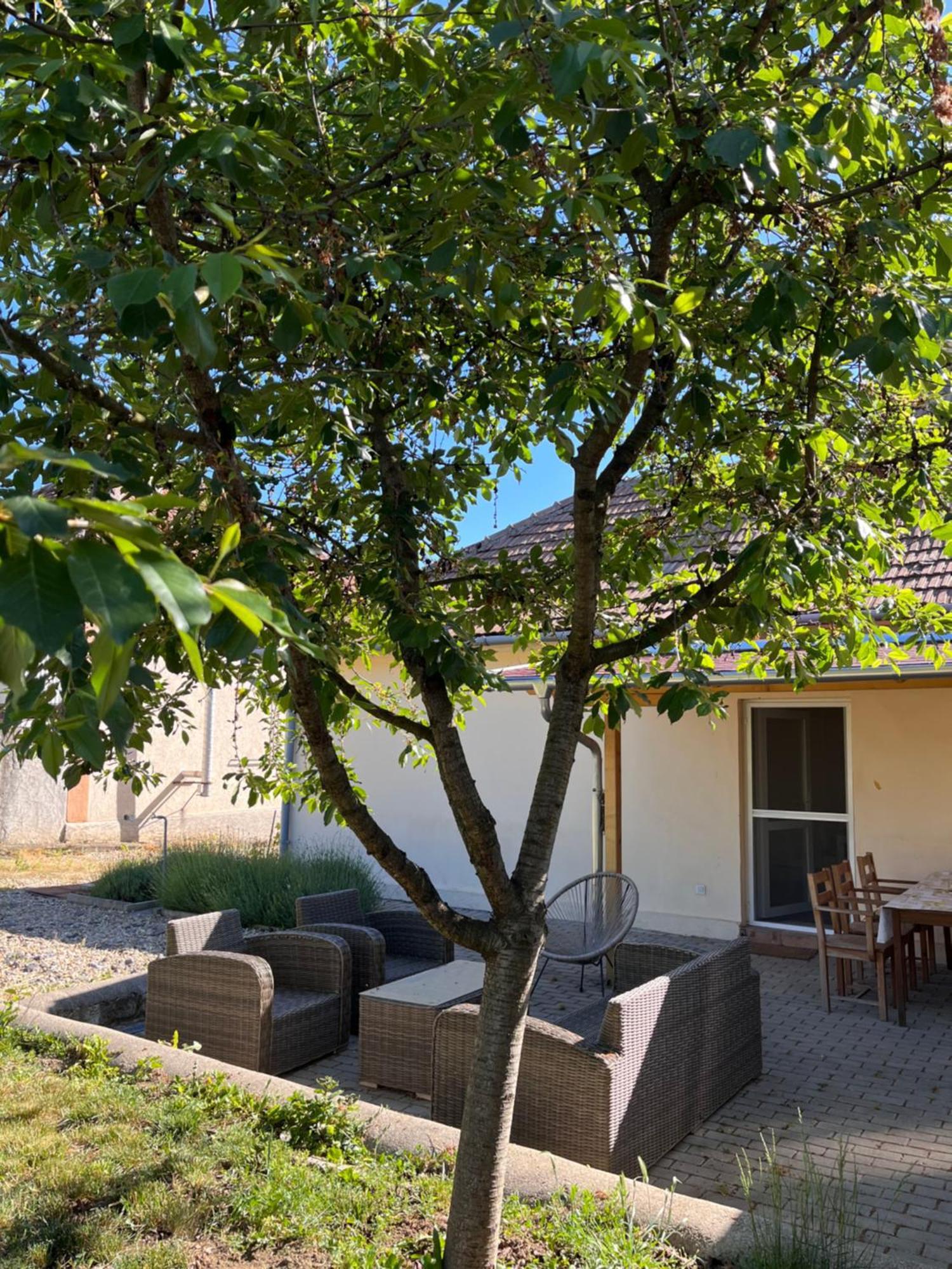 Angelina Vendeghaz Apartment Tarcal Exterior photo